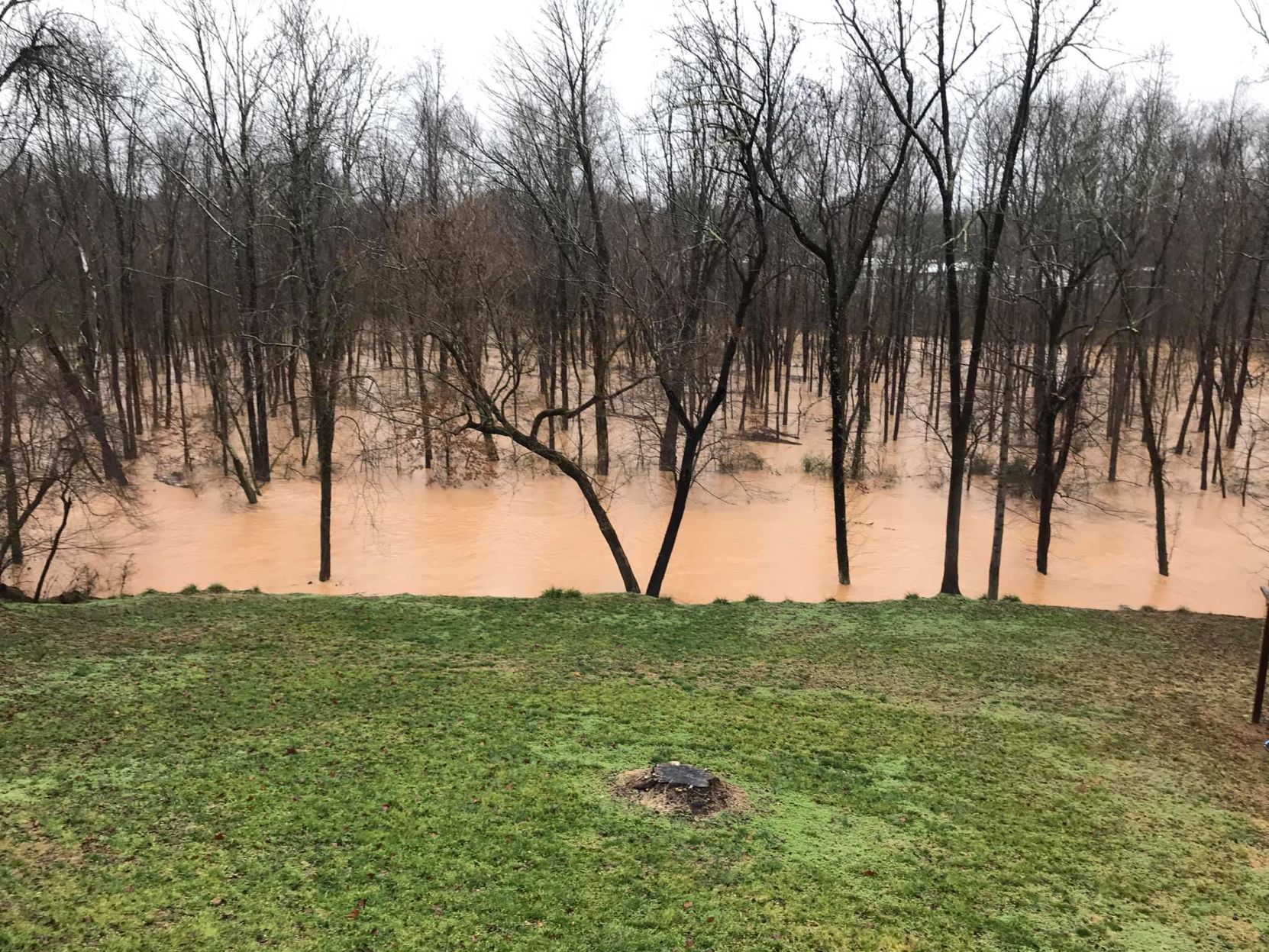 muddy creek 3.jpg